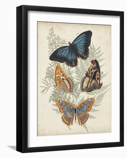 Butterflies and Ferns V-Vision Studio-Framed Art Print