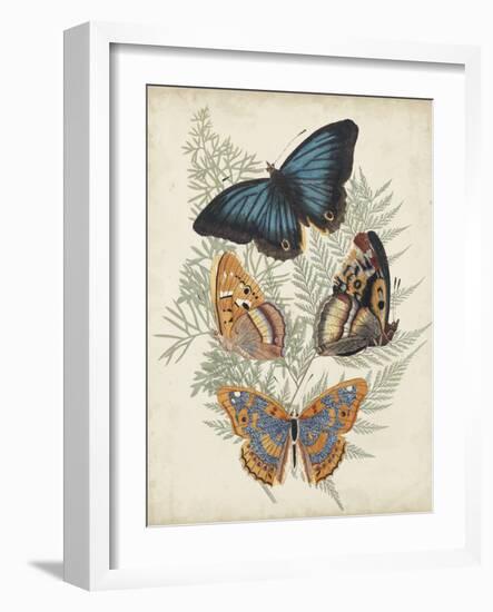 Butterflies and Ferns V-Vision Studio-Framed Art Print