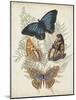 Butterflies and Ferns V-Vision Studio-Mounted Art Print