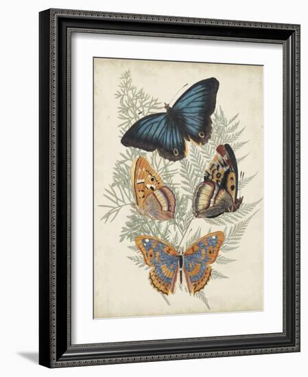 Butterflies and Ferns V-Vision Studio-Framed Art Print