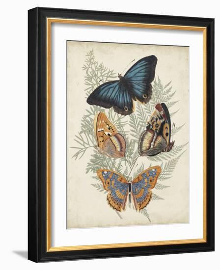 Butterflies and Ferns V-Vision Studio-Framed Art Print