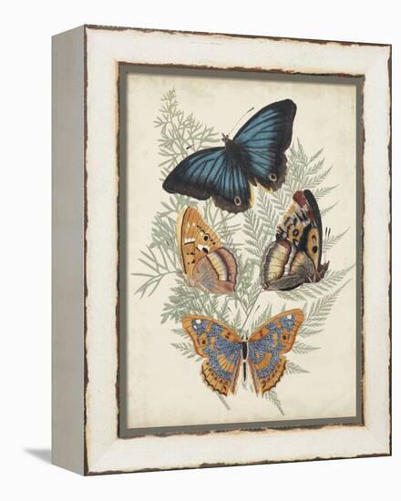 Butterflies and Ferns V-Vision Studio-Framed Stretched Canvas