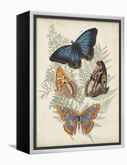 Butterflies and Ferns V-Vision Studio-Framed Stretched Canvas