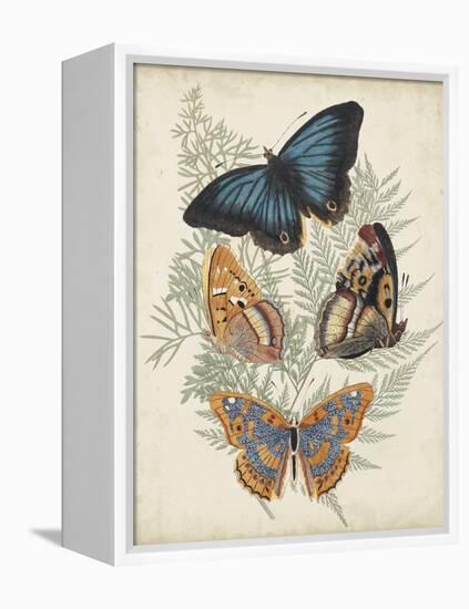 Butterflies and Ferns V-Vision Studio-Framed Stretched Canvas