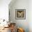 Butterflies and Leaves II-Erin Clark-Framed Giclee Print displayed on a wall