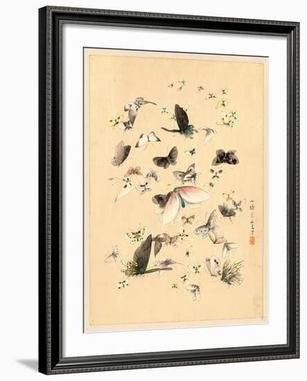 Butterflies and Moths, Between 1800 and 1850-null-Framed Giclee Print