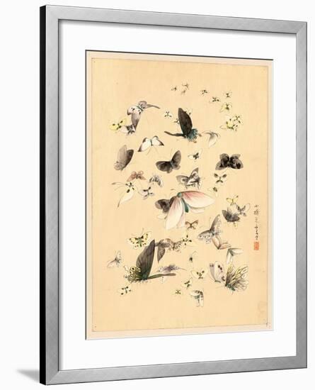 Butterflies and Moths, Between 1800 and 1850-null-Framed Giclee Print