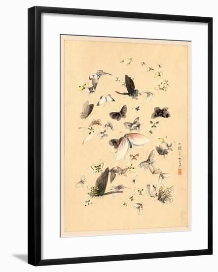 Butterflies and Moths, Between 1800 and 1850-null-Framed Giclee Print