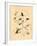 Butterflies and Moths, Between 1800 and 1850-null-Framed Giclee Print