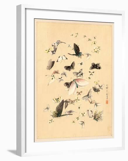 Butterflies and Moths, Between 1800 and 1850-null-Framed Giclee Print