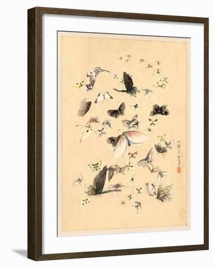 Butterflies and Moths, Between 1800 and 1850-null-Framed Giclee Print