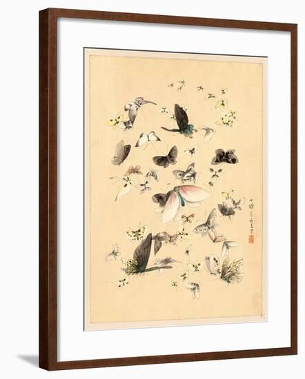 Butterflies and Moths, Between 1800 and 1850-null-Framed Giclee Print