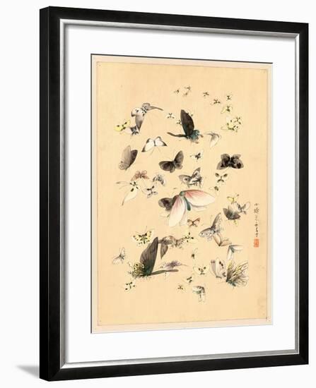 Butterflies and Moths, Between 1800 and 1850-null-Framed Giclee Print