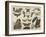 Butterflies and Moths (Colour Litho)-German School-Framed Giclee Print