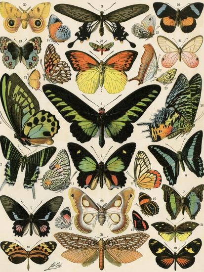 Premium Giclee Print, , large
