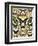 Butterflies and Moths not native to Europe-null-Framed Giclee Print