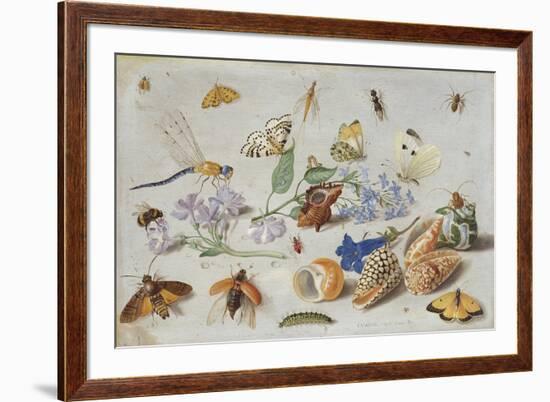 Butterflies and Other Insects, 1661-Jan Van, The Elder Kessel-Framed Giclee Print