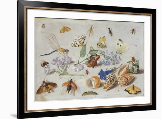 Butterflies and Other Insects, 1661-Jan Van, The Elder Kessel-Framed Giclee Print