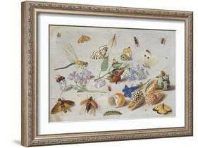 Butterflies and Other Insects, 1661-Jan Van, The Elder Kessel-Framed Giclee Print