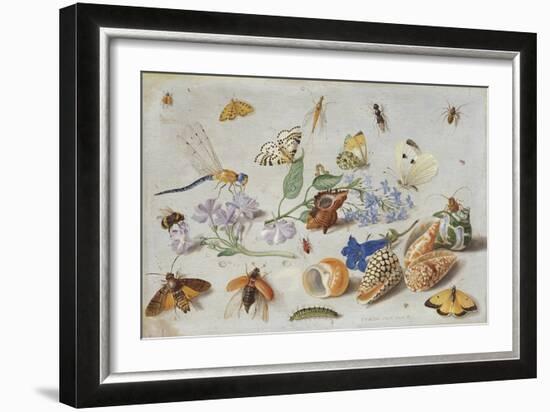 Butterflies and Other Insects, 1661-Jan Van, The Elder Kessel-Framed Giclee Print