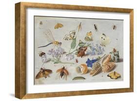 Butterflies and Other Insects, 1661-Jan Van, The Elder Kessel-Framed Giclee Print