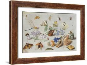 Butterflies and Other Insects, 1661-Jan Van, The Elder Kessel-Framed Giclee Print