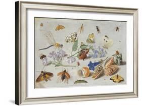 Butterflies and Other Insects, 1661-Jan Van, The Elder Kessel-Framed Giclee Print