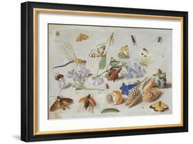 Butterflies and Other Insects, 1661-Jan Van, The Elder Kessel-Framed Giclee Print