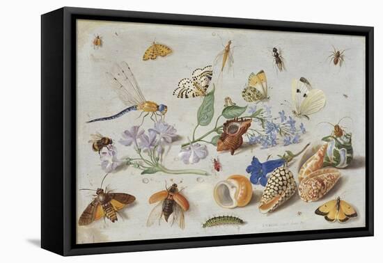 Butterflies and Other Insects, 1661-Jan Van, The Elder Kessel-Framed Premier Image Canvas