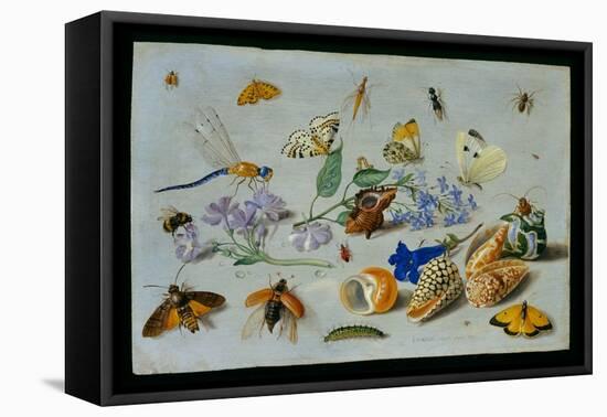 Butterflies and Other Insects, 1661-Jan Van, The Elder Kessel-Framed Premier Image Canvas