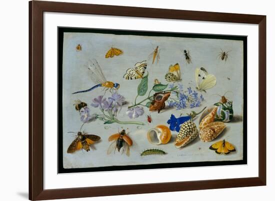 Butterflies and Other Insects, 1661-Jan Van, The Elder Kessel-Framed Giclee Print