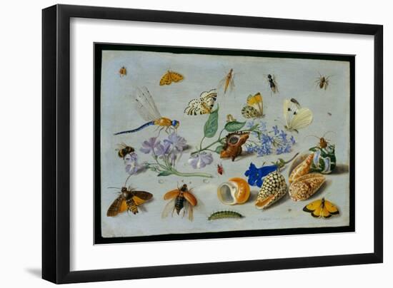 Butterflies and Other Insects, 1661-Jan Van, The Elder Kessel-Framed Giclee Print