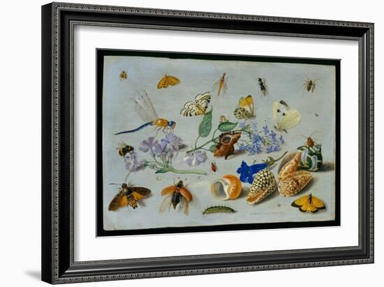 Butterflies and Other Insects, 1661-Jan Van, The Elder Kessel-Framed Giclee Print