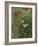 Butterflies and Poppies-Vincent van Gogh-Framed Premium Giclee Print