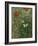 Butterflies and Poppies-Vincent van Gogh-Framed Premium Giclee Print