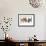 Butterflies - Browns-Tonya Newton-Framed Art Print displayed on a wall