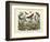 Butterflies, C.1860-null-Framed Giclee Print