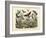 Butterflies, C.1860-null-Framed Giclee Print