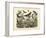 Butterflies, C.1860-null-Framed Giclee Print