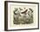 Butterflies, C.1860-null-Framed Giclee Print