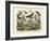 Butterflies, C.1860-null-Framed Giclee Print