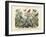 Butterflies, C.1860-null-Framed Giclee Print