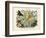 Butterflies, C.1860-null-Framed Giclee Print