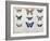 Butterflies from Brazil and Guyana, Mid 19th Century-Edouard Travies-Framed Giclee Print