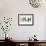 Butterflies - Grays-Tonya Newton-Framed Premium Giclee Print displayed on a wall