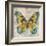 Butterflies I-Tandi Venter-Framed Giclee Print