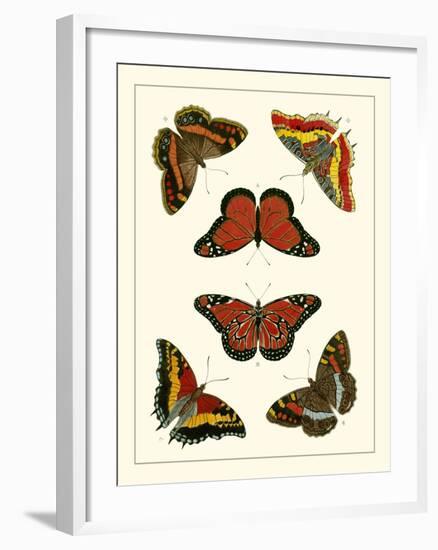 Butterflies I-Pieter Cramer-Framed Art Print