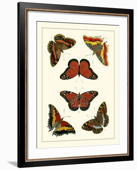 Butterflies I-Pieter Cramer-Framed Art Print