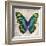 Butterflies II-Tandi Venter-Framed Giclee Print