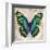 Butterflies II-Tandi Venter-Framed Giclee Print